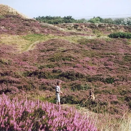 Nordic Modern Retreat *